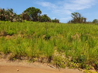 Two Vacant Plots in Port Shepstone