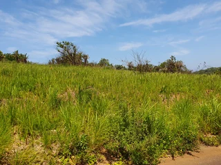 Two Vacant Plots in Port Shepstone