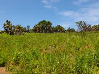 Two Vacant Plots in Port Shepstone