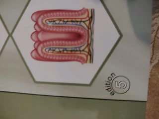 Grade 11 life science study guides