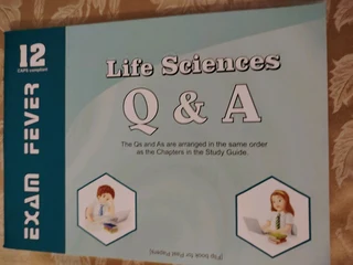 Grade 12 exam fever study guides