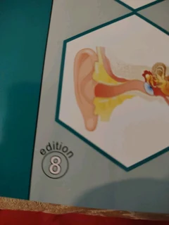 Grade 12 exam fever study guides