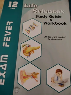 Grade 12 exam fever study guides