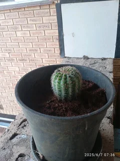 World globe atlas world maps