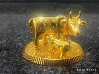 Gold cow