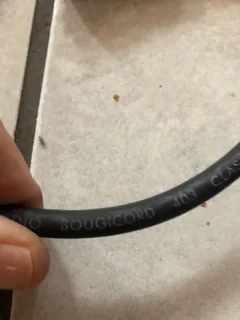 Citi Golf/Chico bougicord lead set