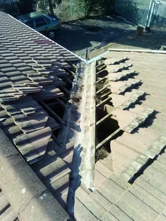 Waterproofing - Ad posted by Rico