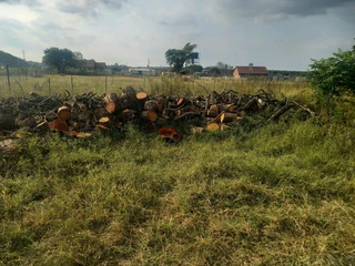 Firewood for sale Polokwane