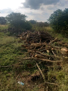 Firewood for sale Polokwane