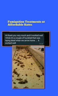 Pest Control Services