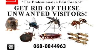 Pest Control Services