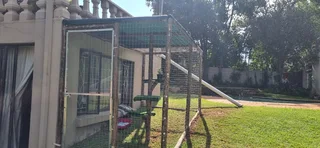 Catio - Ad posted by Spencer