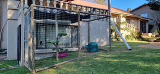 Catio - Ad posted by Spencer