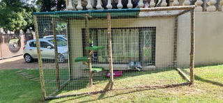 Catio - Ad posted by Spencer