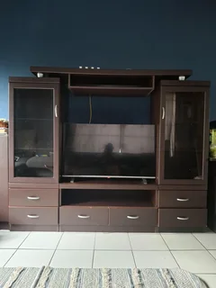 TV / Display unit