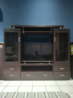 TV / Display unit