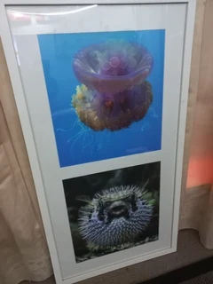 Art -Framed various images