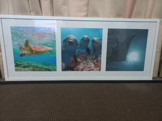 Art -Framed various images