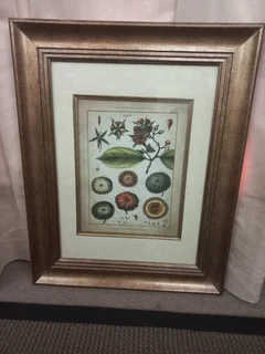 Art -Framed various images