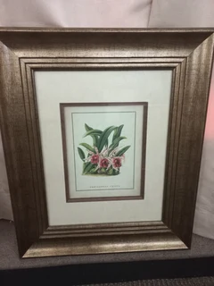 Art -Framed various images