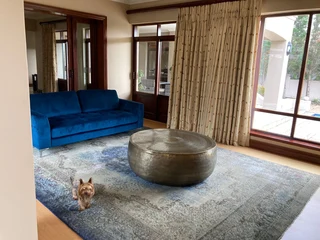 Curtains - Ad posted by NEIL GRIFFIN