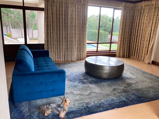 Curtains - Ad posted by NEIL GRIFFIN