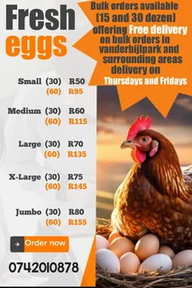 Eggs - Ad posted by justin