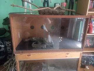 Reptile Cage