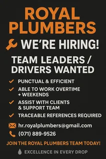Team leader / Driver for a plumbing company