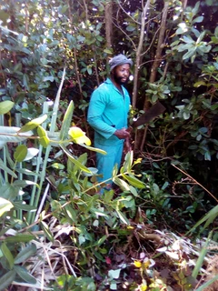 A Master gardener available