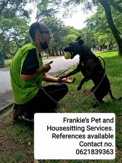 House and pet sitting