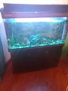 Fish tank 1.2m