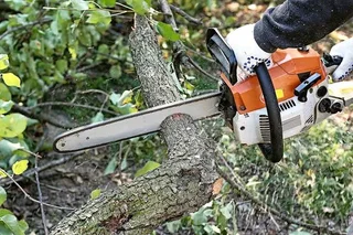 Tree cutting and gardening services