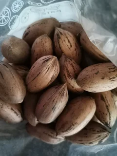 Pecan nuts
