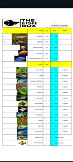 The fish box open for retail