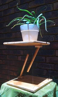 &#34;Floating&#34; Tensegrity table