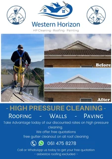 Roof Cleaning, Rubber and Painting