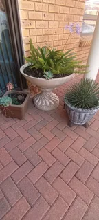 Flower pots