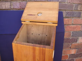 POTATO BOX ~ SOLID PINE