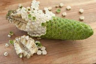 Delicious-Monster Fruit