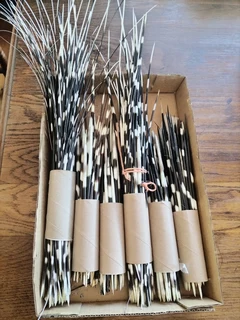 YSTERVARK  PENNE  &#64;  R60-00  PER BONDEL