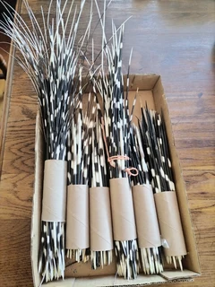 Ystervark  Pen  &#64;  R60-00  Per  Bondel