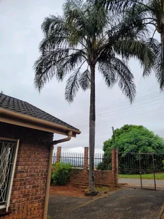 House to let in Northdale/Belfort border