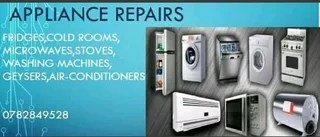 Fridge repair and regas onsite