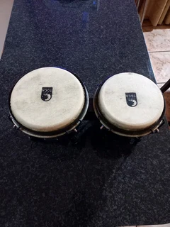 BONGO DRUMS TOCA