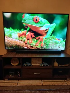 TV 55inch with XIAOMI smart Box