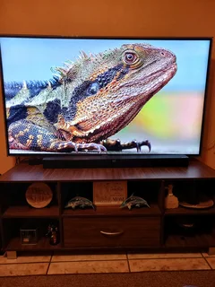 TV 55inch with XIAOMI smart Box