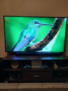 TV 55inch with XIAOMI smart Box