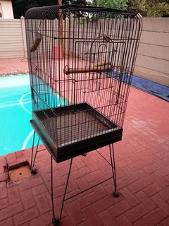 Bird cage