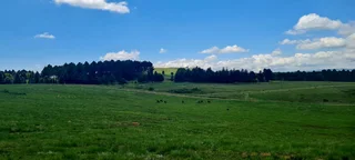 Veggie Farm Irrigation